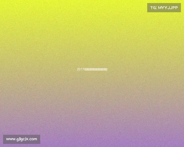 2017拳坛巅峰对决回顾热血与荣耀时刻